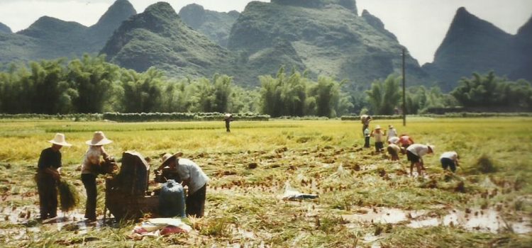 Yangshuo