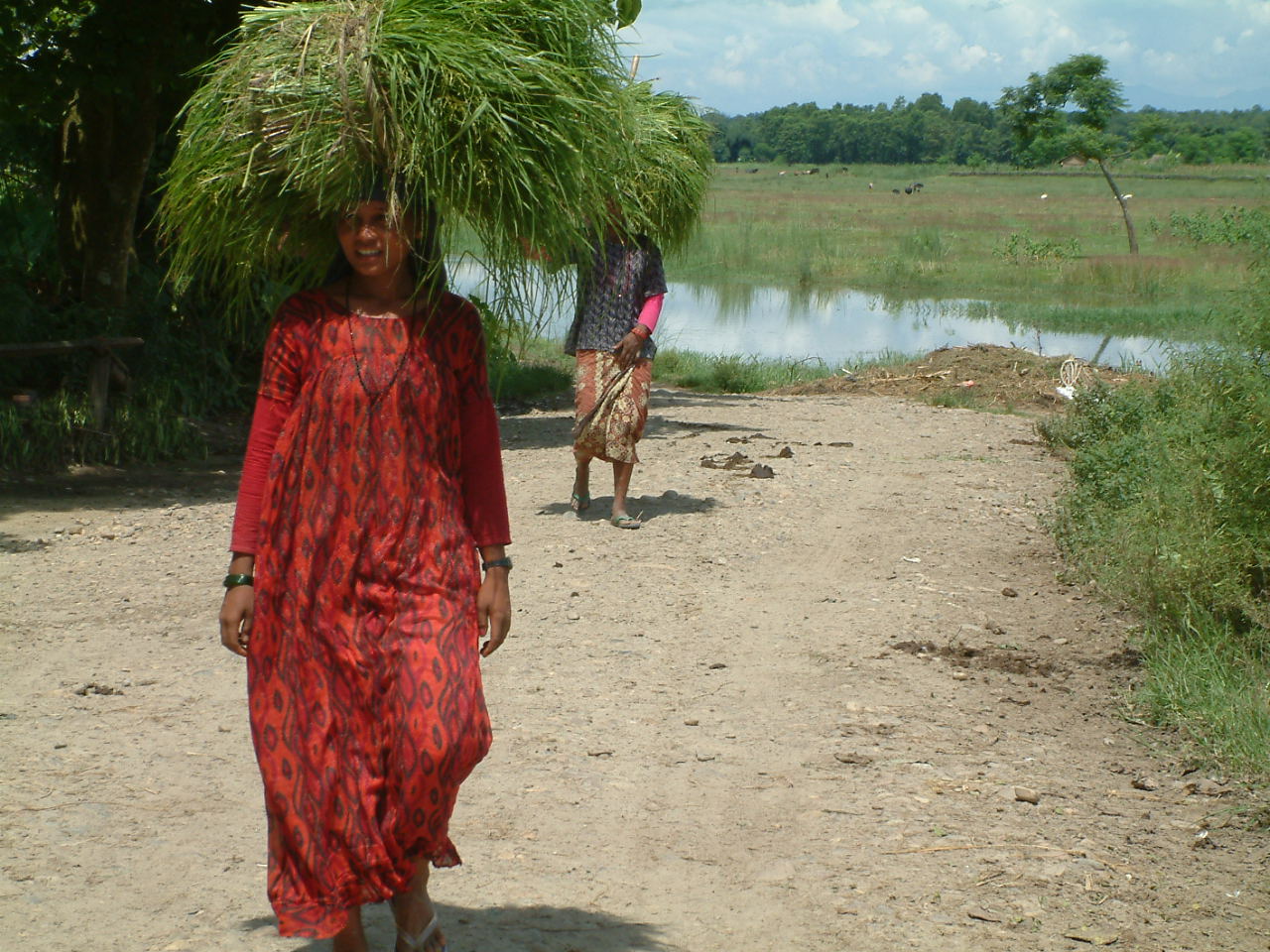 30 juli 2005 Chitwan National Park