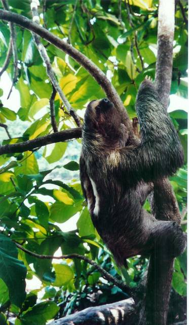 Manuel Antonio NP