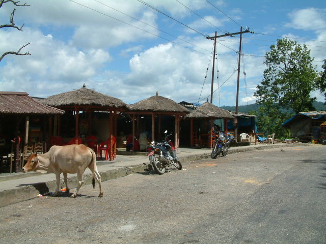 28 juli 2005 Shivpatinagar – Chitwan National Park