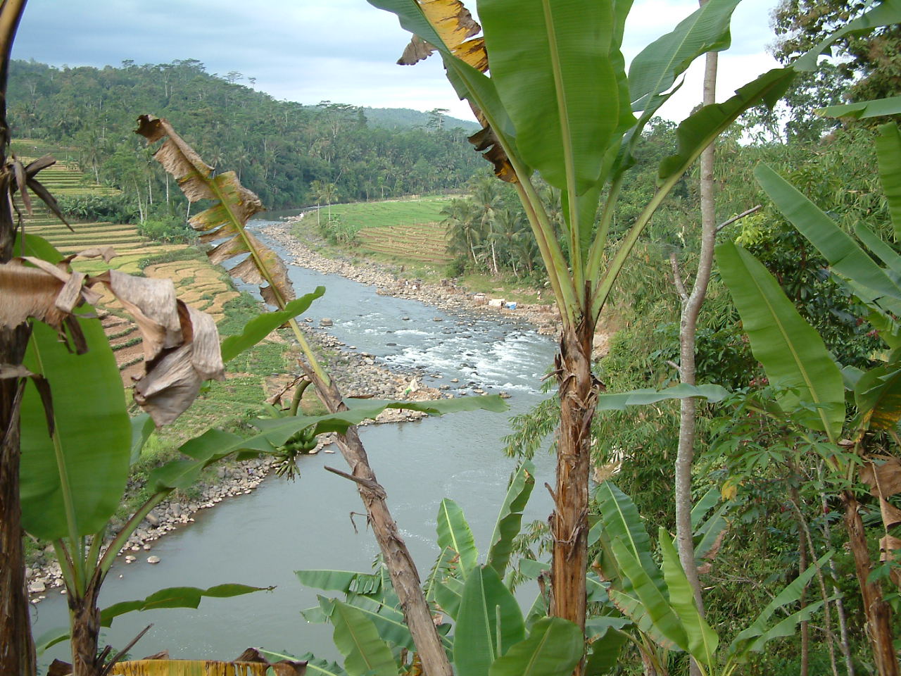 23 juli 2008 Pangandaran – Wanosobo