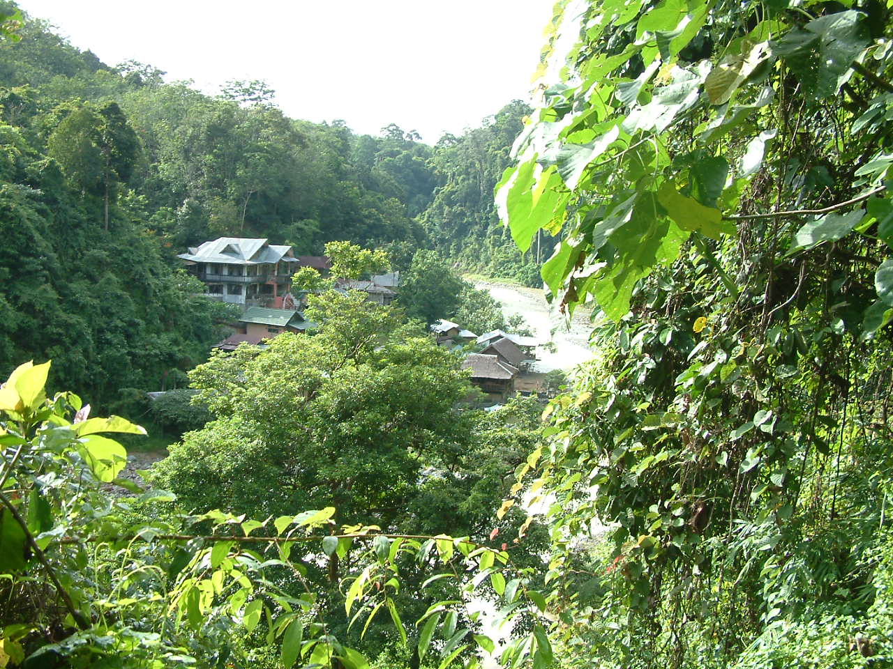 11 juli 2008 Bukit Lawang – Berastagi