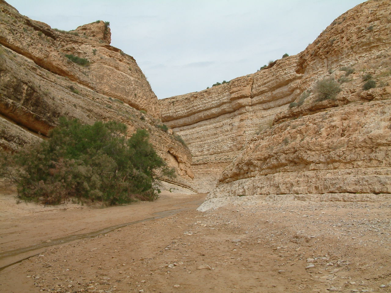 1 mei 2009 Tozeur – Tunis