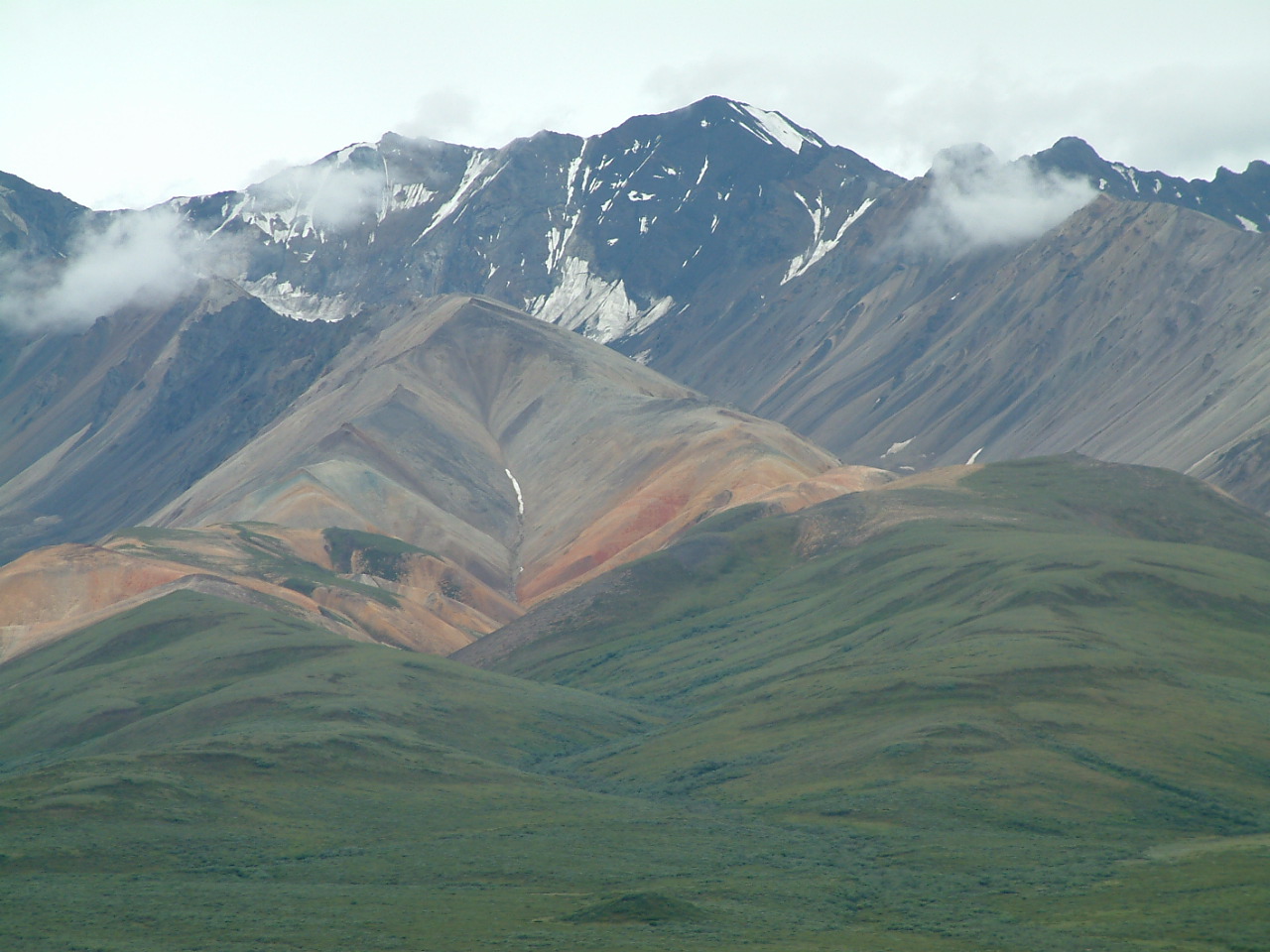 15 juli 2007 Denali NP