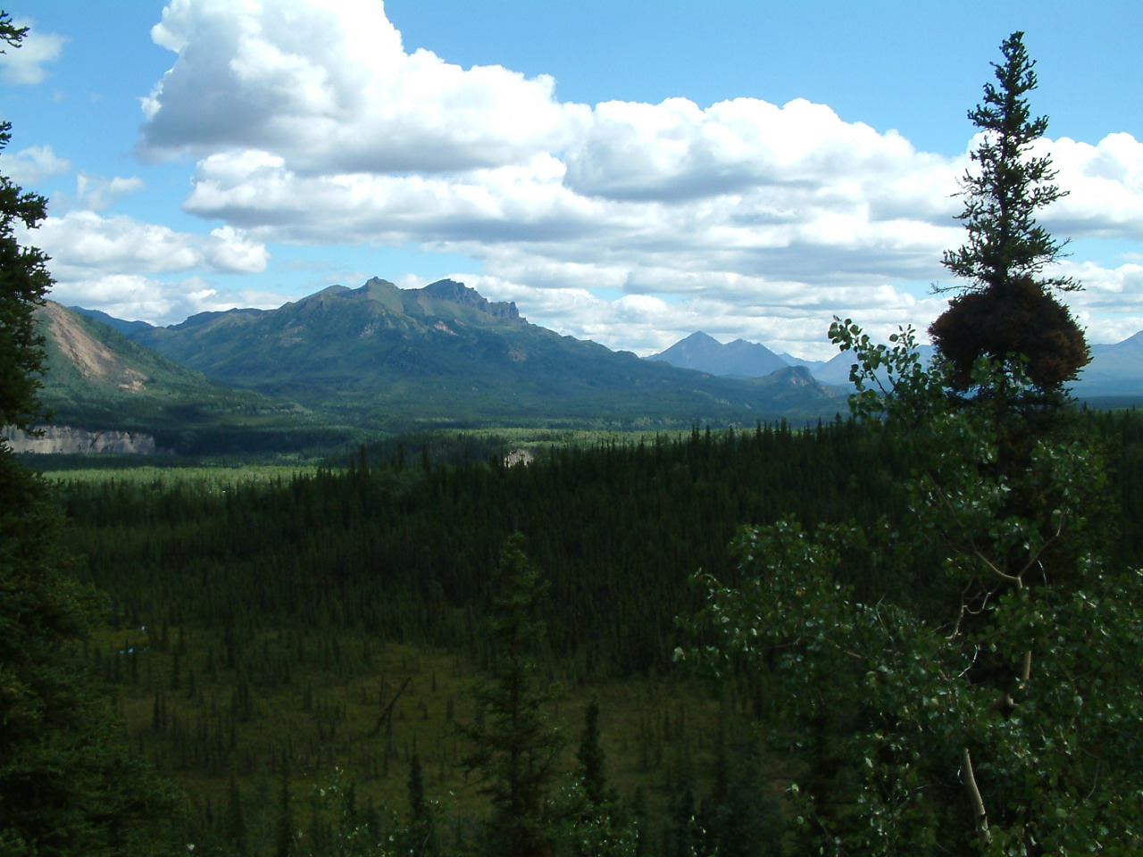 16 juli 2007 Denali NP – Fairbanks