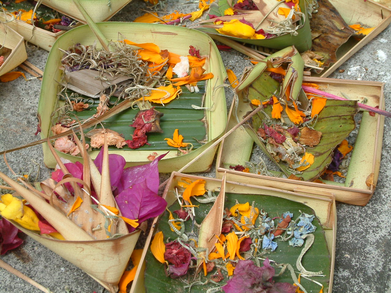 3 augustus 2008 Lovina Beach – Ubud