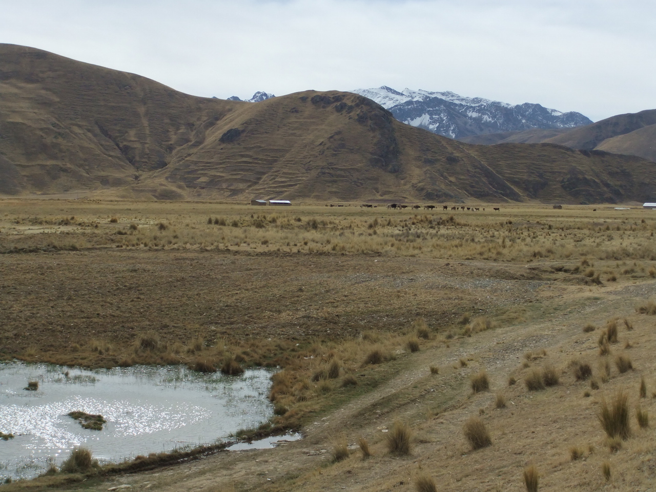 1 augustus 2011 Copacabana – Cusco (3360m)