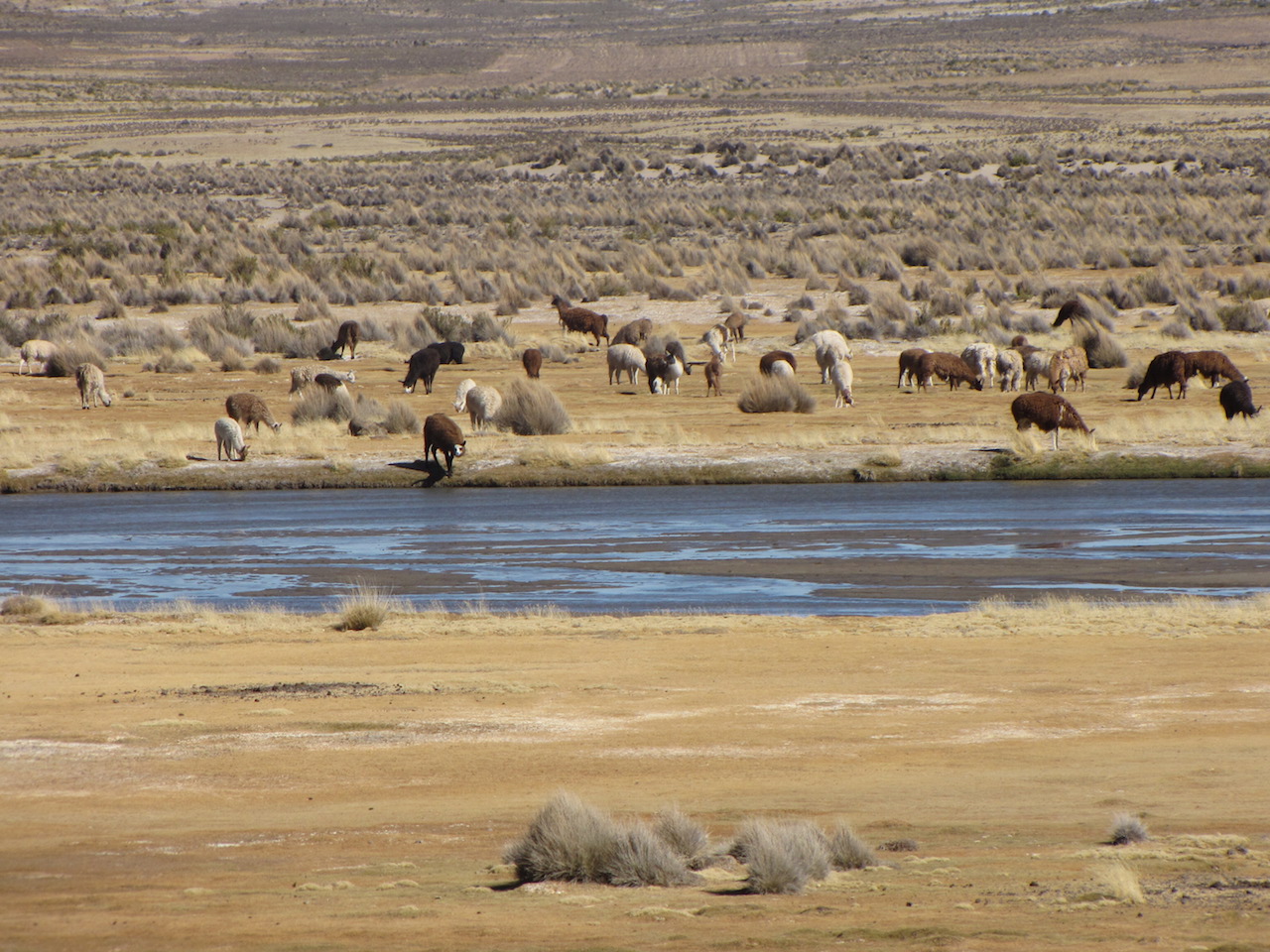 26 juli 2011 La Paz – Uyuni (3670m)