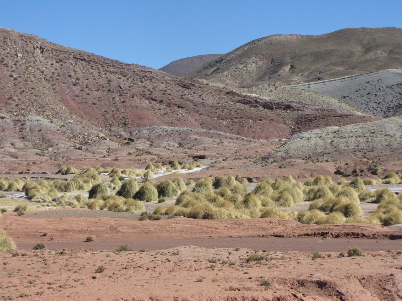 28 juli 2011 Uyuni – Potosi (4090m)