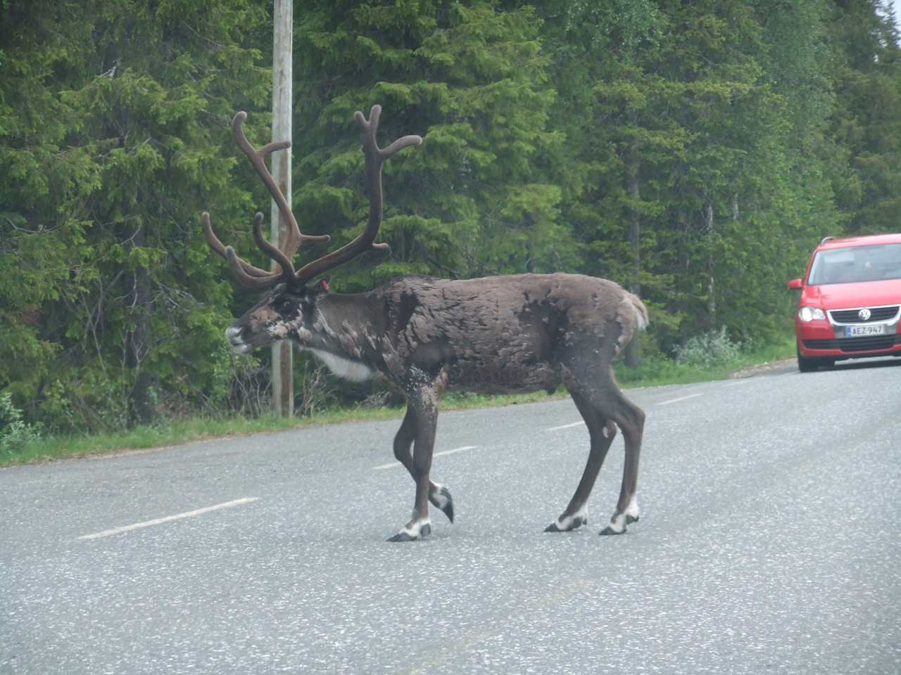 16 juli 2012 Levi – Karasjok – 69° 28’N 25° 30’E